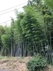 諏訪神社の自然