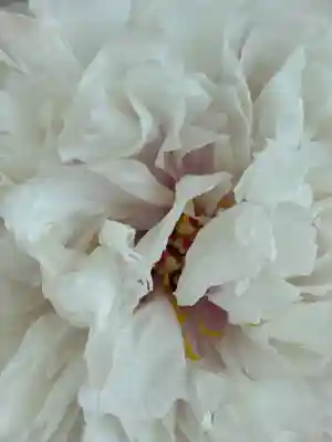 薬師院(兵庫県)