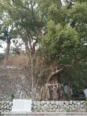 長島神社の自然