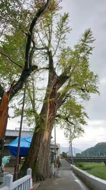 長岡神社の建物その他