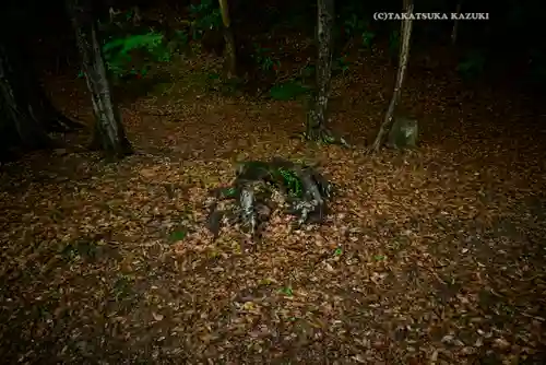 猿田彦神社(三重県)