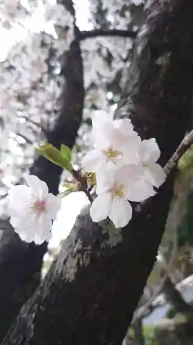 金泉寺の{uncategorized: "未分類", other: "その他", undefined: "問題あり", building: "その他建物", grave: "お墓", sacred_gate: "鳥居", guardian: "狛犬", statue: "像", buddha: "仏像", history: "歴史", nature: "自然", garden: "庭園", animal: "動物", pagoda: "塔", temizu: "手水舎", mountain_gate: "山門・神門", sanctuary: "本殿・本堂", subordinate: "末社・摂社", art: "芸術", scenery: "景色", jizo: "地蔵", ema: "絵馬", goshuin: "御朱印", omikuji: "おみくじ", items: "授与品その他", amulet: "お守り", goshuincho: "御朱印帳", eats: "食事", festival: "お祭り", votive_dance: "神楽", shichigosan: "七五三参", wedding: "結婚式", experience: "体験その他", initially: "初詣", around: "周辺", anti_infection: "感染症対策"}