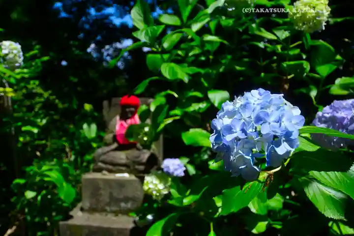 高幡不動尊 金剛寺(東京都)