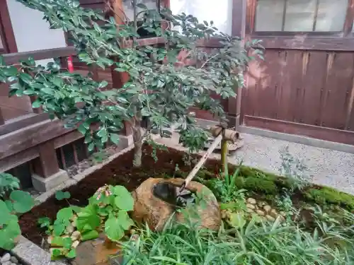 妙心寺（妙心禅寺）(京都府)