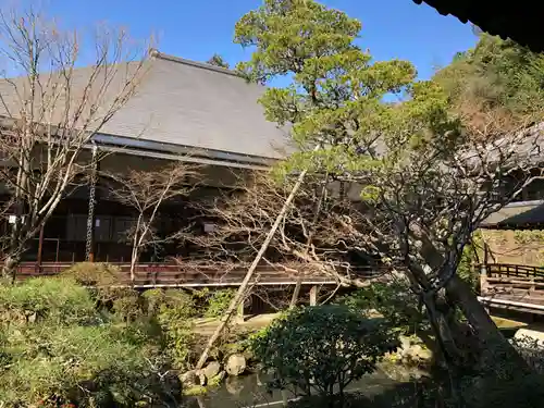 禅林寺（永観堂）(京都府)