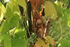 高司神社〜むすびの神の鎮まる社〜の庭園