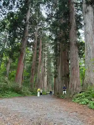 戸隠神社奥社(長野県)
