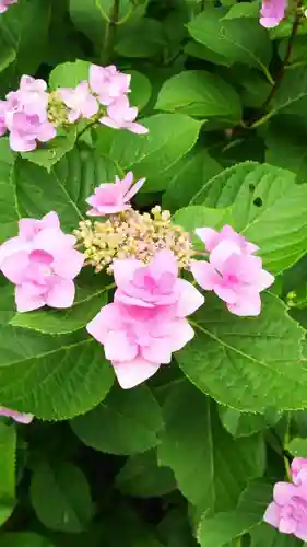 持寳院(多氣山不動尊)の自然