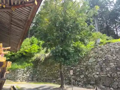 日吉大社　東本宮(滋賀県)