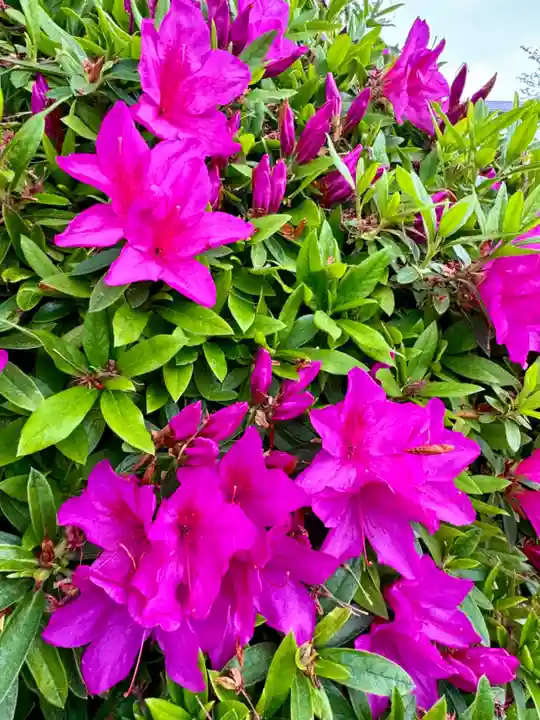 東寺(教王護国寺)(京都府)