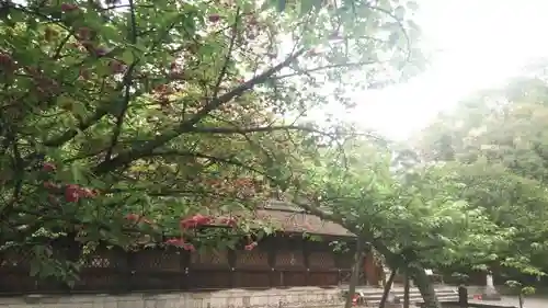 平野神社の庭園