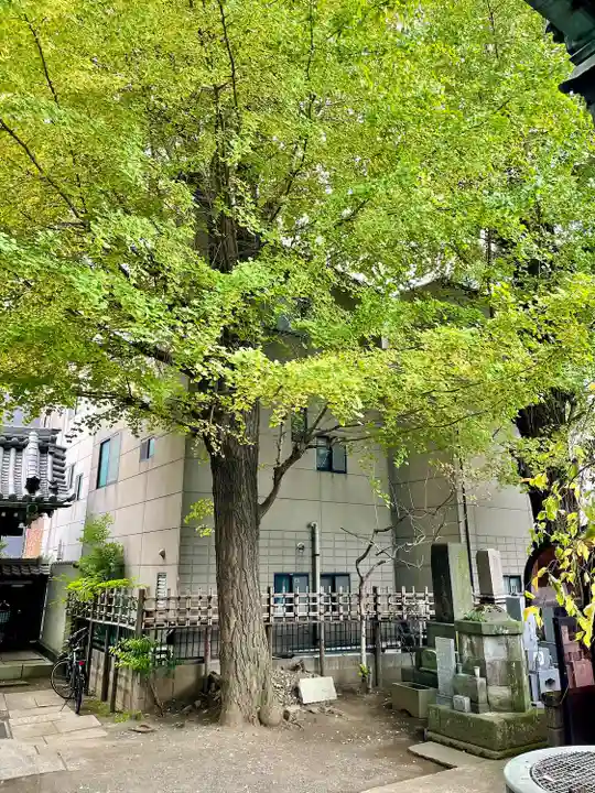 正徳寺(東京都)