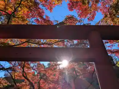 高幡不動尊　金剛寺(東京都)