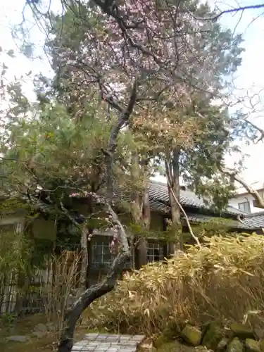 安國論寺（安国論寺）の庭園