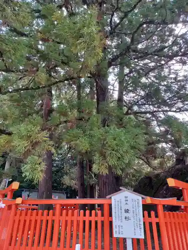 香椎宮(福岡県)
