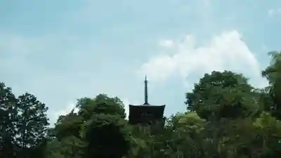 岡寺(龍蓋寺)(奈良県)