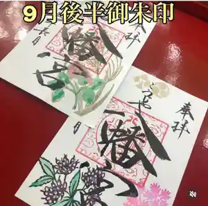 糀谷八幡宮(埼玉県)(2023年09月20日(水) 23時35分55秒投稿)