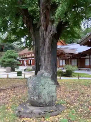 永保寺(岐阜県)