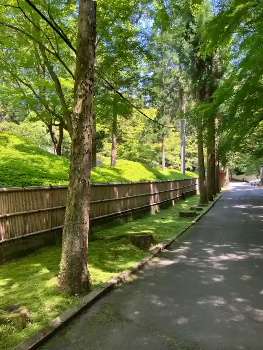 今熊野観音寺(京都府)