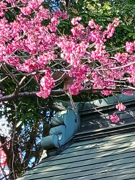 芝東照宮の{uncategorized: "未分類", other: "その他", undefined: "問題あり", building: "その他建物", grave: "お墓", sacred_gate: "鳥居", guardian: "狛犬", statue: "像", buddha: "仏像", history: "歴史", nature: "自然", garden: "庭園", animal: "動物", pagoda: "塔", temizu: "手水舎", mountain_gate: "山門・神門", sanctuary: "本殿・本堂", subordinate: "末社・摂社", art: "芸術", scenery: "景色", jizo: "地蔵", ema: "絵馬", goshuin: "御朱印", omikuji: "おみくじ", items: "授与品その他", amulet: "お守り", goshuincho: "御朱印帳", eats: "食事", festival: "お祭り", votive_dance: "神楽", shichigosan: "七五三参", wedding: "結婚式", experience: "体験その他", initially: "初詣", around: "周辺", anti_infection: "感染症対策"}