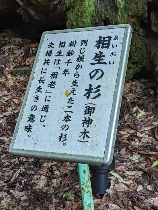 貴船神社(京都府)