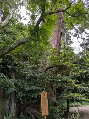 香取神宮(千葉県)