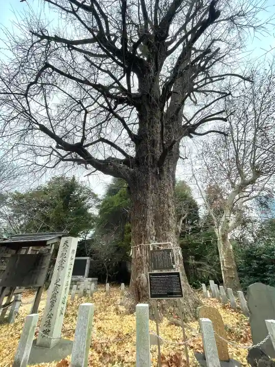 芝東照宮(東京都)