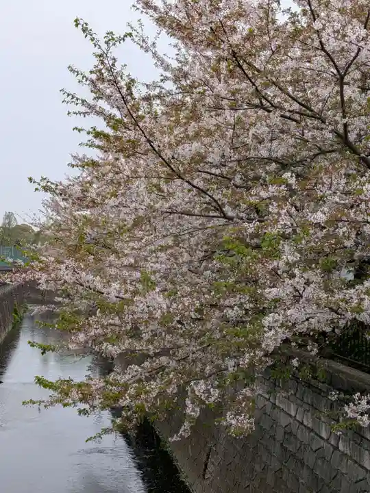 東光寺(東京都)