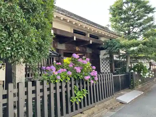 蓮光院の山門