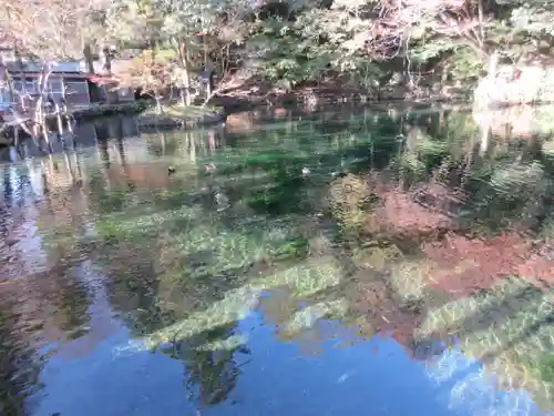 涌釜神社の周辺