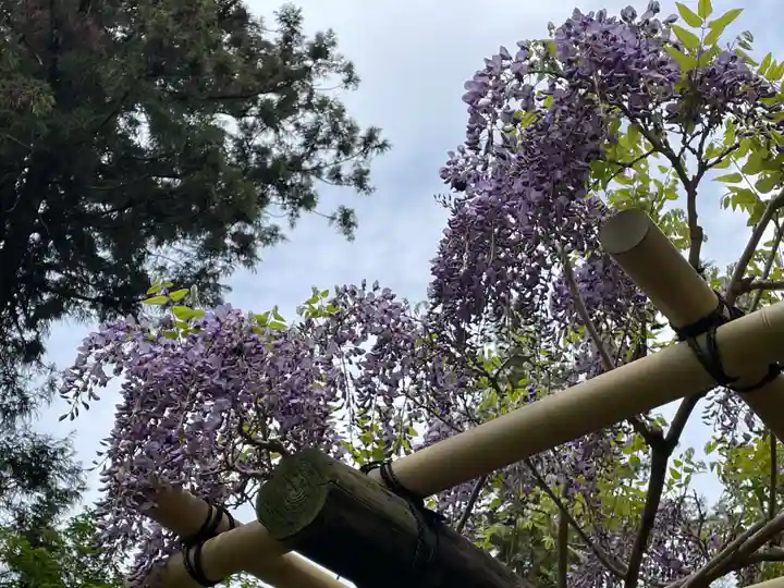 歌泉堂(春日大社神苑萬葉植物園内鎮座)(奈良県)