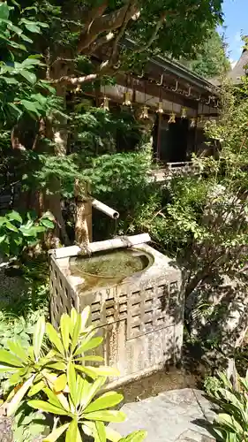 三宝院の手水舎