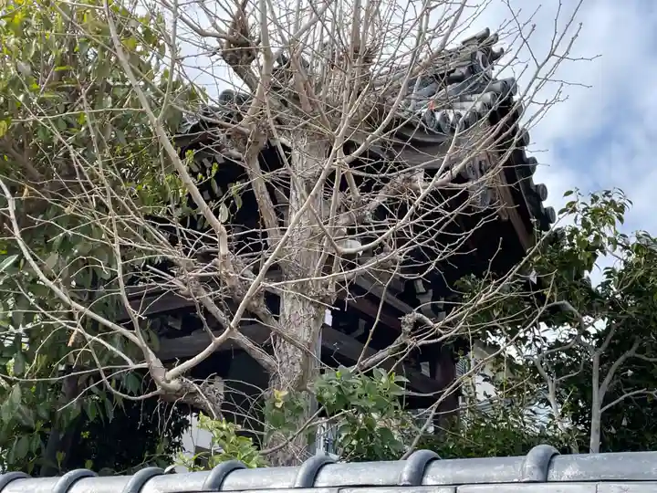 蓮生寺(京都府)