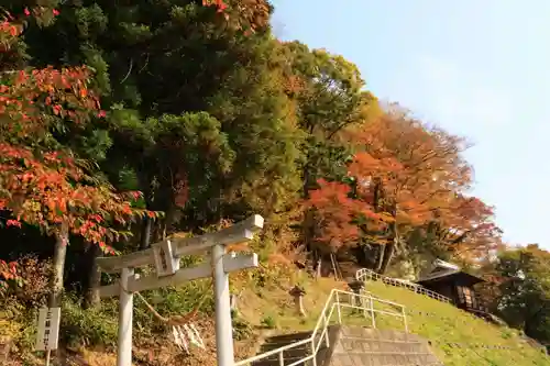 三輪神社の鳥居