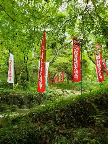 天開稲荷社の自然