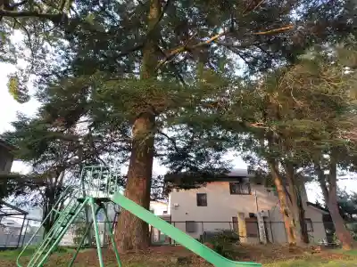 王子神社の{uncategorized: "未分類", other: "その他", undefined: "問題あり", building: "その他建物", grave: "お墓", sacred_gate: "鳥居", guardian: "狛犬", statue: "像", buddha: "仏像", history: "歴史", nature: "自然", garden: "庭園", animal: "動物", pagoda: "塔", temizu: "手水舎", mountain_gate: "山門・神門", sanctuary: "本殿・本堂", subordinate: "末社・摂社", art: "芸術", scenery: "景色", jizo: "地蔵", ema: "絵馬", goshuin: "御朱印", omikuji: "おみくじ", items: "授与品その他", amulet: "お守り", goshuincho: "御朱印帳", eats: "食事", festival: "お祭り", votive_dance: "神楽", shichigosan: "七五三参", wedding: "結婚式", experience: "体験その他", initially: "初詣", around: "周辺", anti_infection: "感染症対策"}