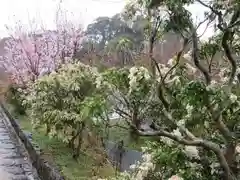 浄瑠璃寺の自然