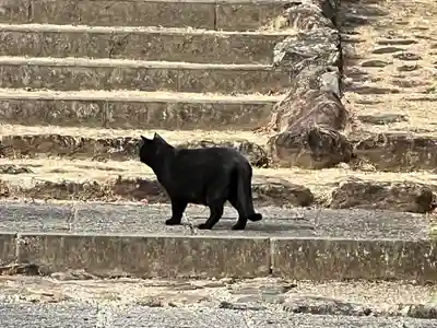 聖天院(埼玉県)