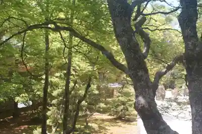 高野山金剛峯寺(和歌山県)