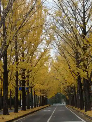壬生寺(栃木県)