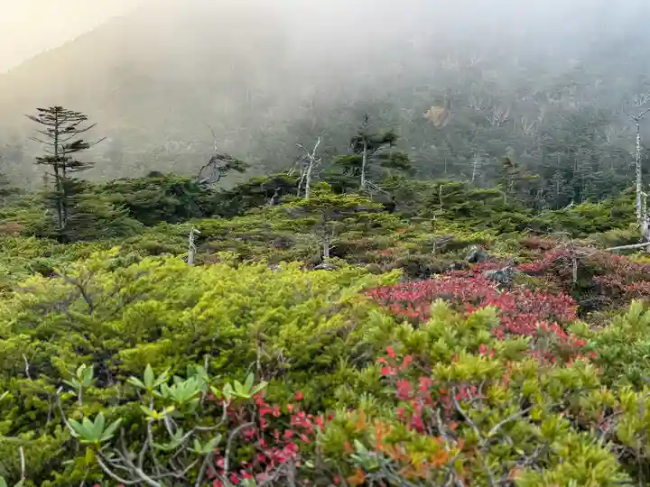 横岳神社(長野県)