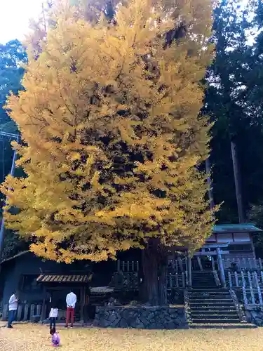 丹生神社のその他建物