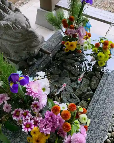 滑川神社 - 仕事と子どもの守り神の手水舎