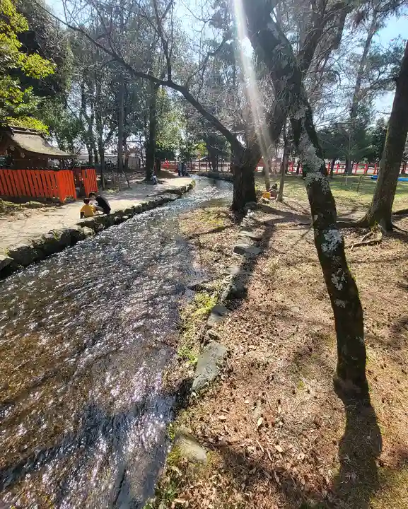 賀茂別雷神社(上賀茂神社)(京都府)