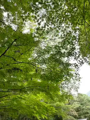 大山祇神社(伊勢神宮内宮)(三重県)