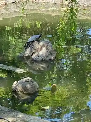 東寺（教王護国寺）(京都府)