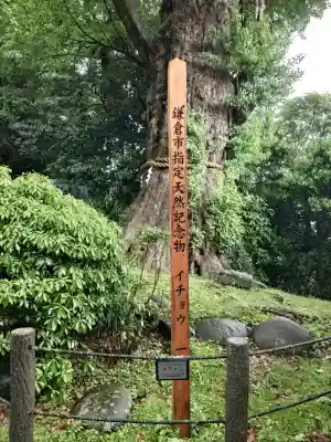 荏柄天神社の{uncategorized: "未分類", other: "その他", undefined: "問題あり", building: "その他建物", grave: "お墓", sacred_gate: "鳥居", guardian: "狛犬", statue: "像", buddha: "仏像", history: "歴史", nature: "自然", garden: "庭園", animal: "動物", pagoda: "塔", temizu: "手水舎", mountain_gate: "山門・神門", sanctuary: "本殿・本堂", subordinate: "末社・摂社", art: "芸術", scenery: "景色", jizo: "地蔵", ema: "絵馬", goshuin: "御朱印", omikuji: "おみくじ", items: "授与品その他", amulet: "お守り", goshuincho: "御朱印帳", eats: "食事", festival: "お祭り", votive_dance: "神楽", shichigosan: "七五三参", wedding: "結婚式", experience: "体験その他", initially: "初詣", around: "周辺", anti_infection: "感染症対策"}
