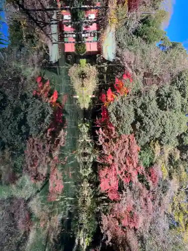 富士山本宮浅間大社の庭園