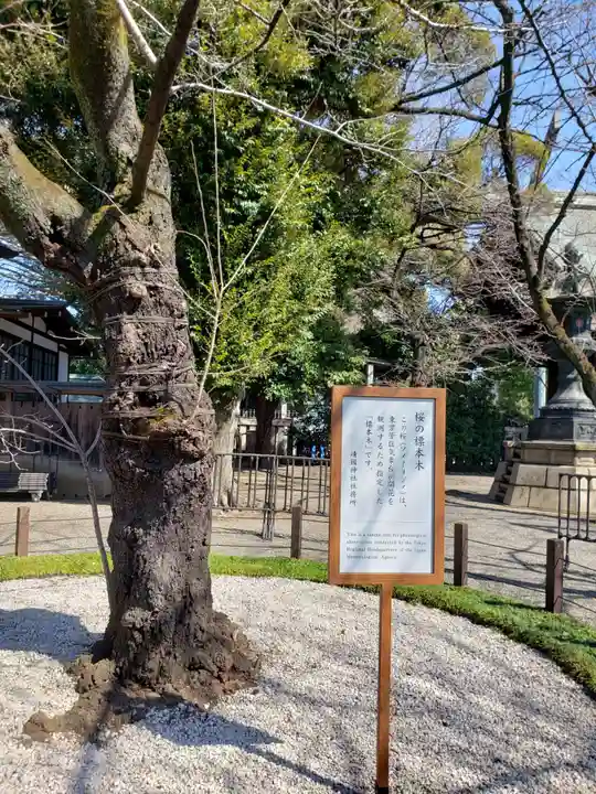靖國神社の自然