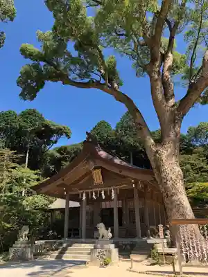 宝満宮竈門神社の本殿・本堂